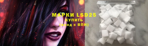 PSILOCYBIN Алексеевка