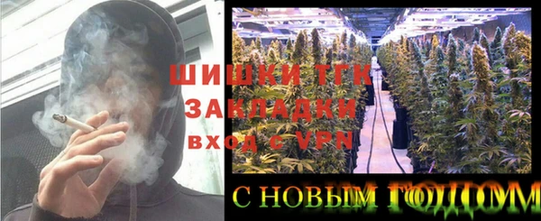 PSILOCYBIN Алексеевка