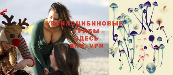 PSILOCYBIN Алексеевка