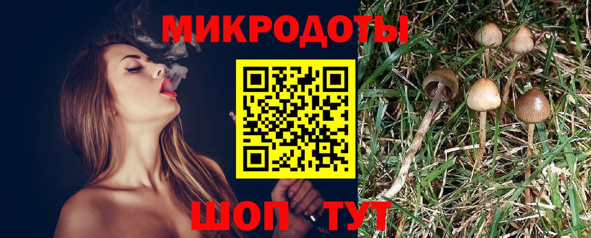 Псилоцибиновые грибы Magic Shrooms  купить наркотики сайты  Темрюк  Вход с VPN 