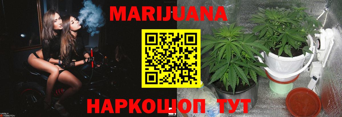 Конопля сатива Темрюк